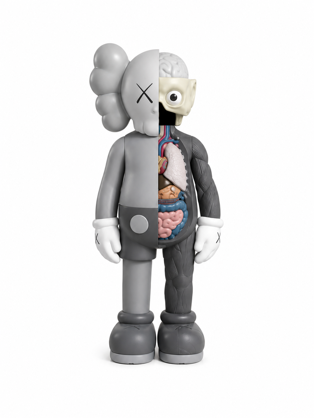 Figurine anatomique design – 20 cm